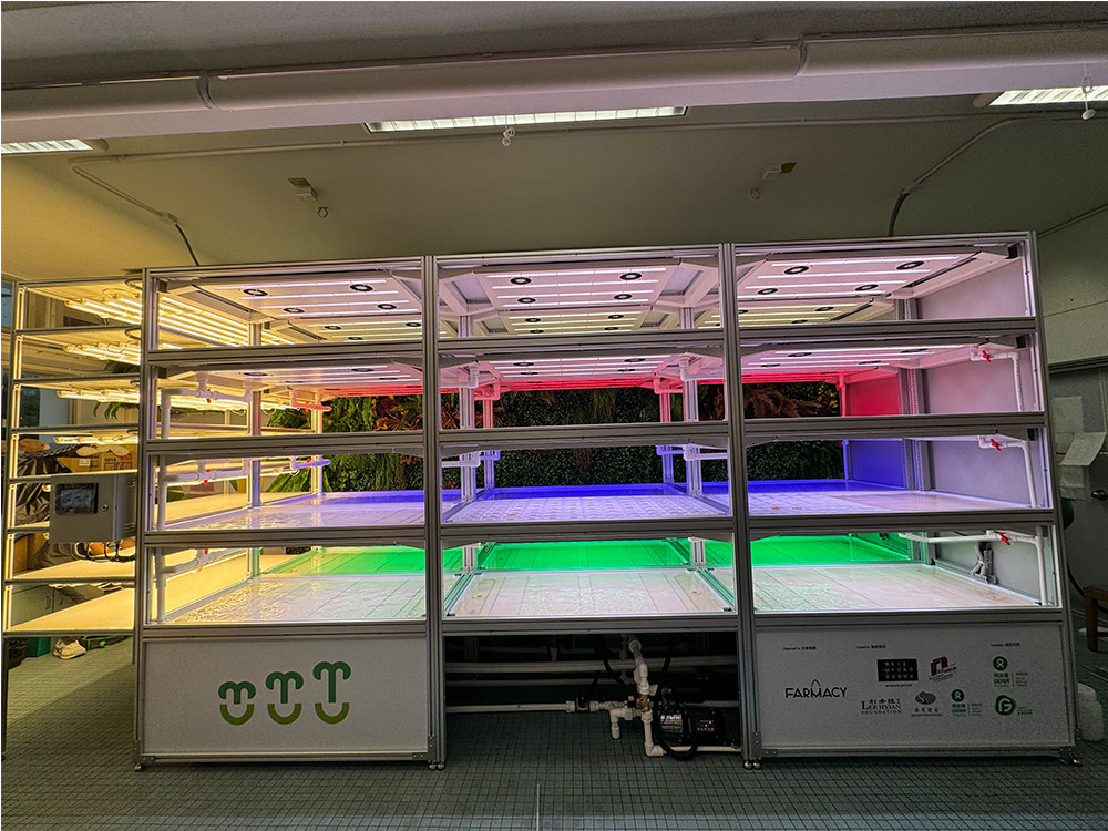 hydroponic vertical tray farming