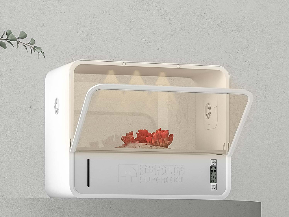 Mushroom Growing Box