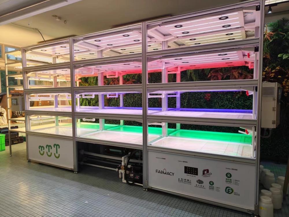 Hong Kong Hydroponic Classroom Project