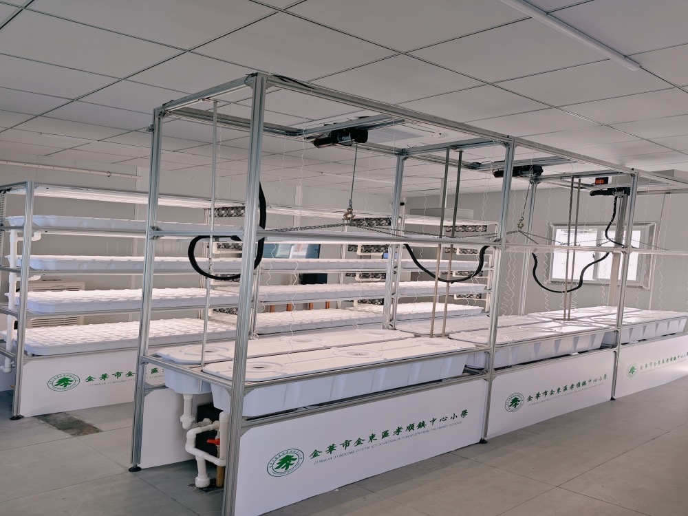 Jinhua Filial Piety Center Primary School Hydroponic Classroom Project