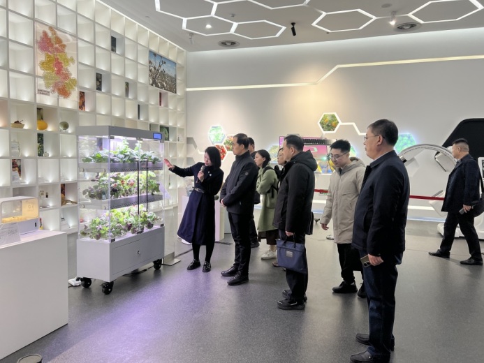 The Future of Agriculture is Within Reach! – Exploring the Anhui Innovation Museum's Plant Factory, Unlocking the "Black Technology" on Your Taste Buds