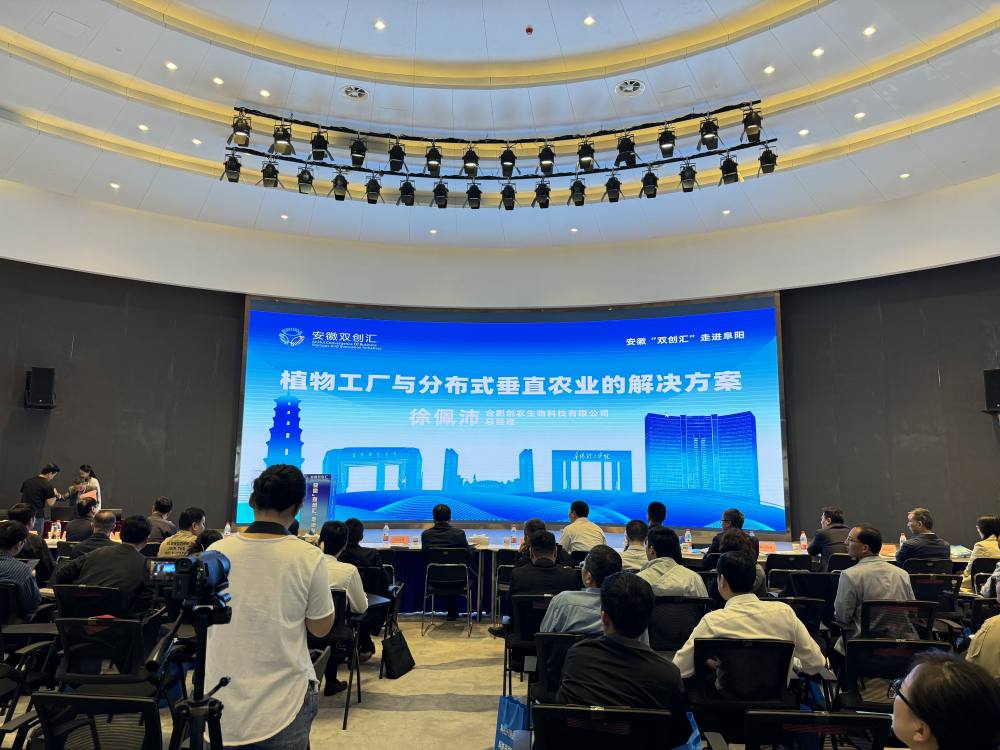 Crownow In Fuyang's "Double Foreign Exchange Creation"